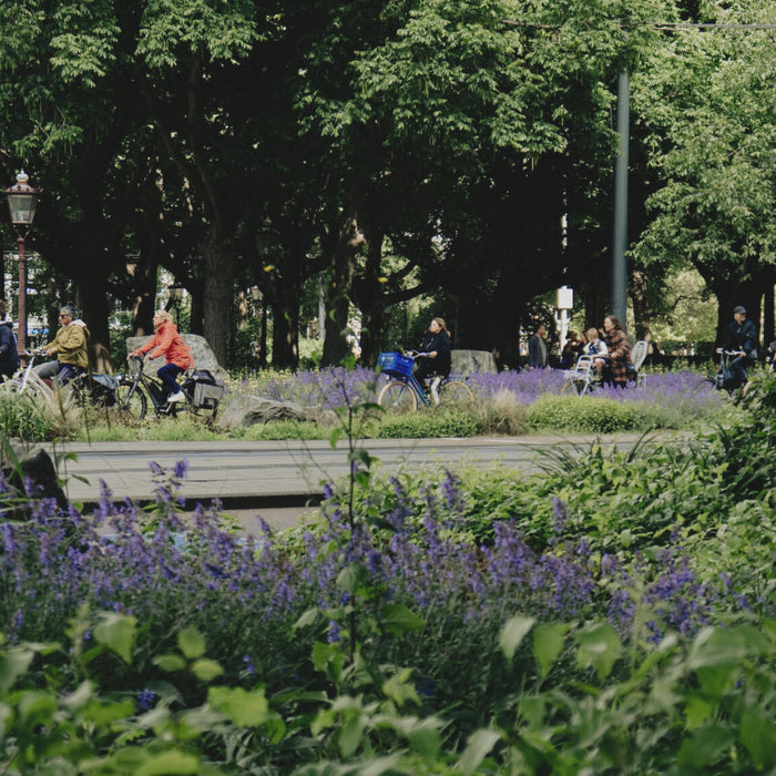 Wie Bienen in der Stadt leben