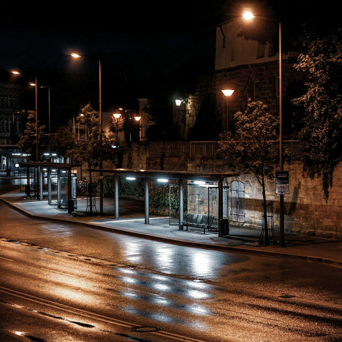 Wenn Lichtverschmutzung Insekten bei der Arbeit stört
