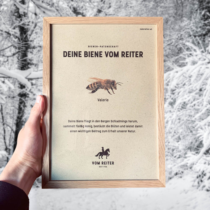 Bienenpatenschaft Urkunde