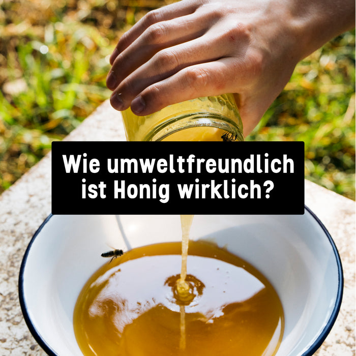 Von Nachhaltigkeit bis Tierschutz - Wie umweltfreundlich ist Honig wirklich?