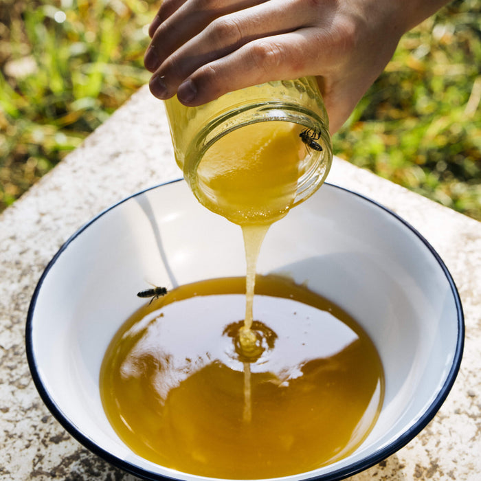 Wie Bienen den Honig erzeugen