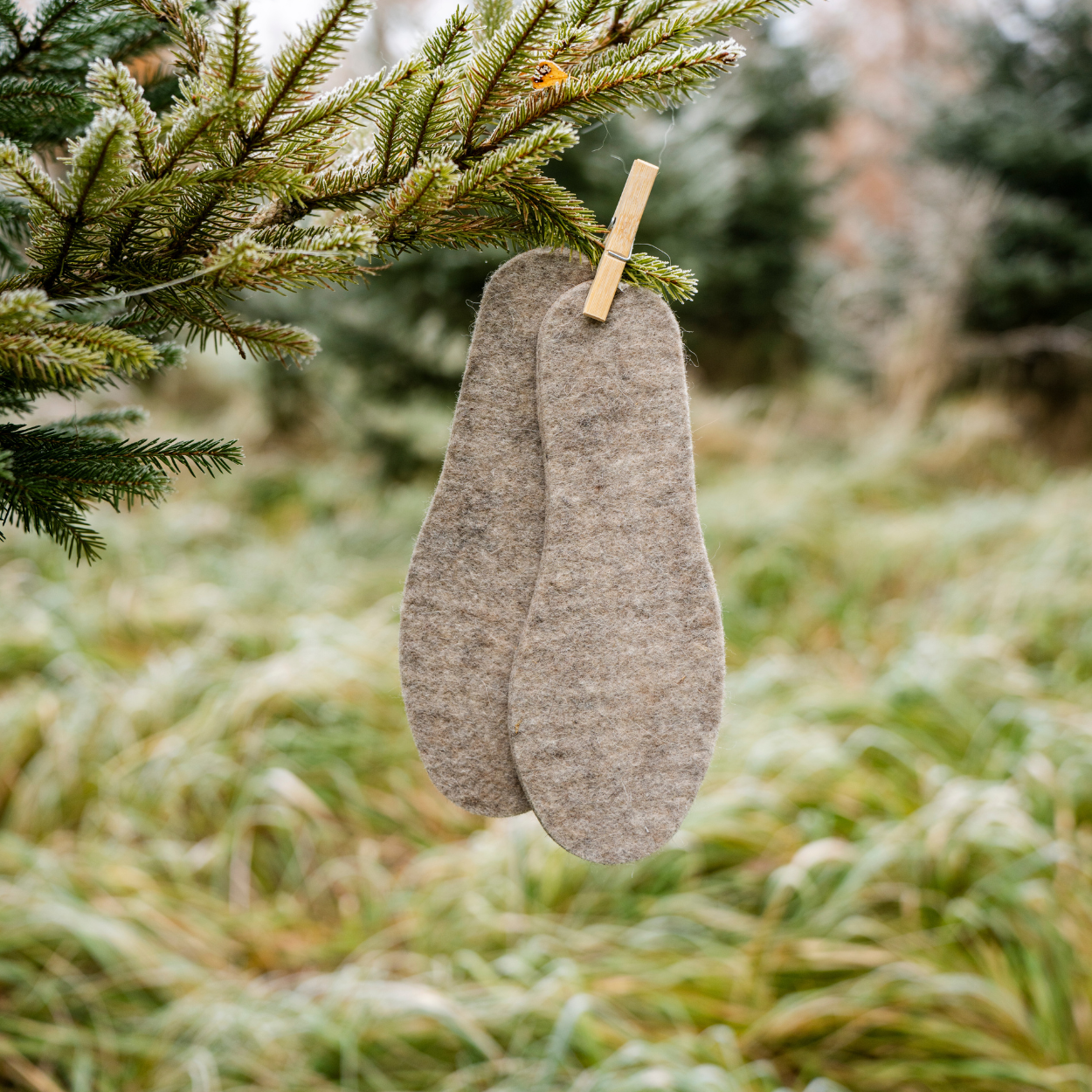 Alpaka Schuheinlagen